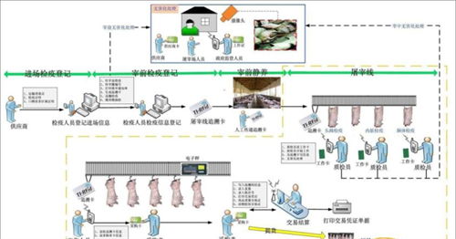 海南屠宰場稱重管理軟件廠家